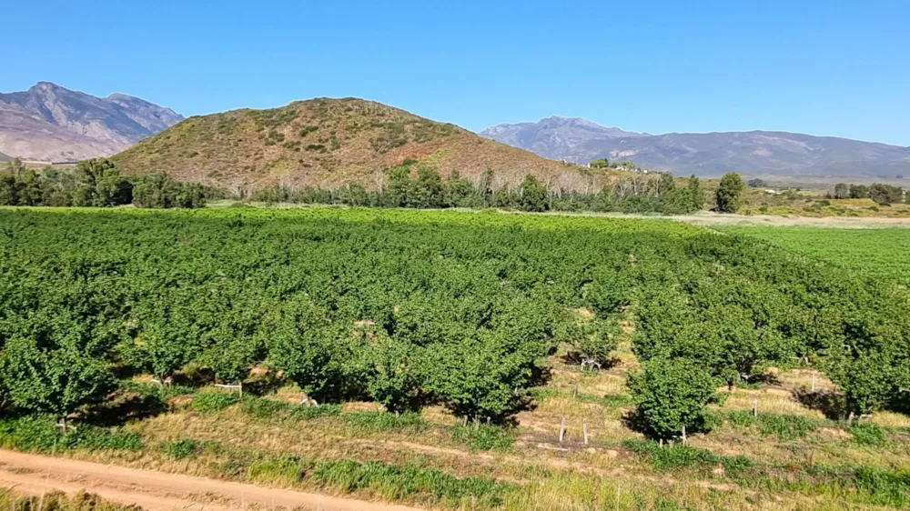 Mixed use farm for sale in Robertson Rural - ROB1756748 Mixed use farm for sale in Robertson Rural - ROB1756748