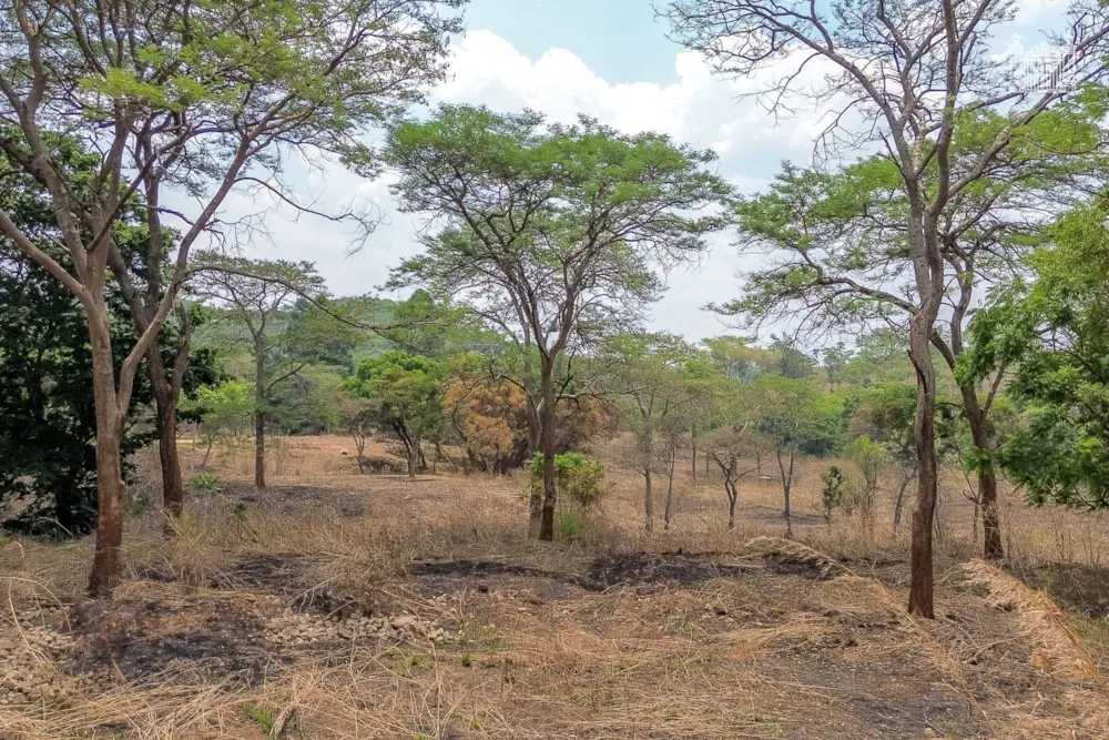 Vacant land for sale in Umwinsidale, Zimbabwe - 3ZB1756827