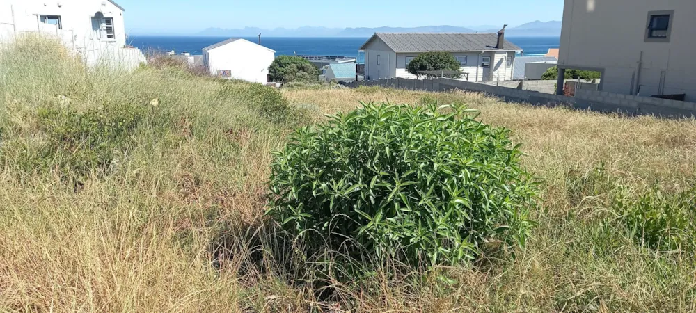 Residential vacant land for sale in De Kelders - 1SW1756910