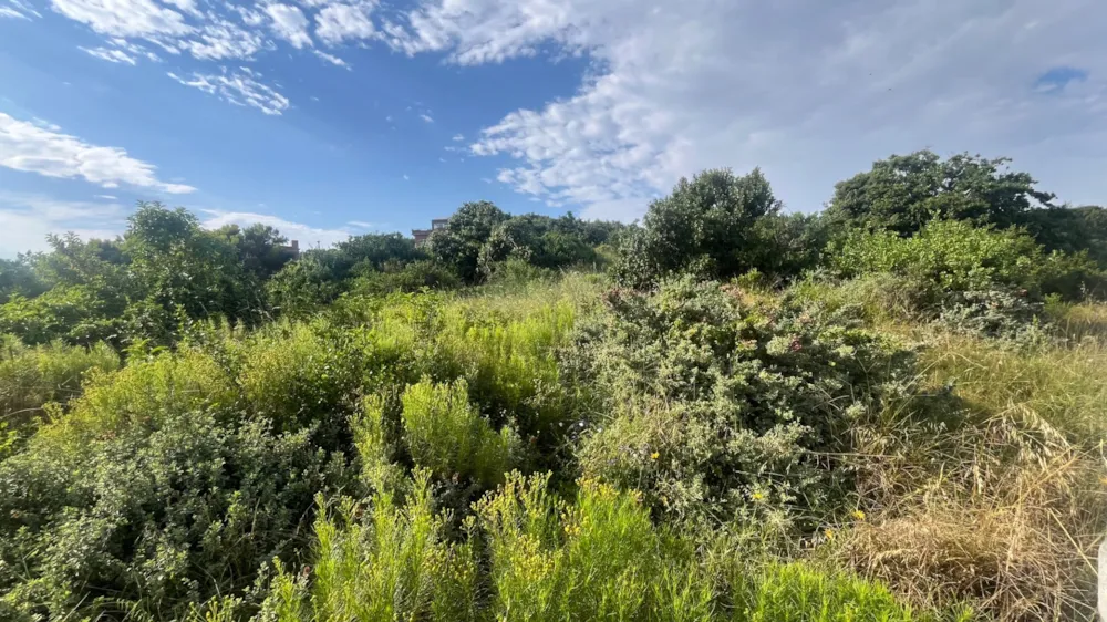 Vacant land for sale in Paradise Beach, Jeffreys Bay - 1JF1755577 Vacant land for sale in Paradise Beach, Jeffreys Bay - 1JF1755577