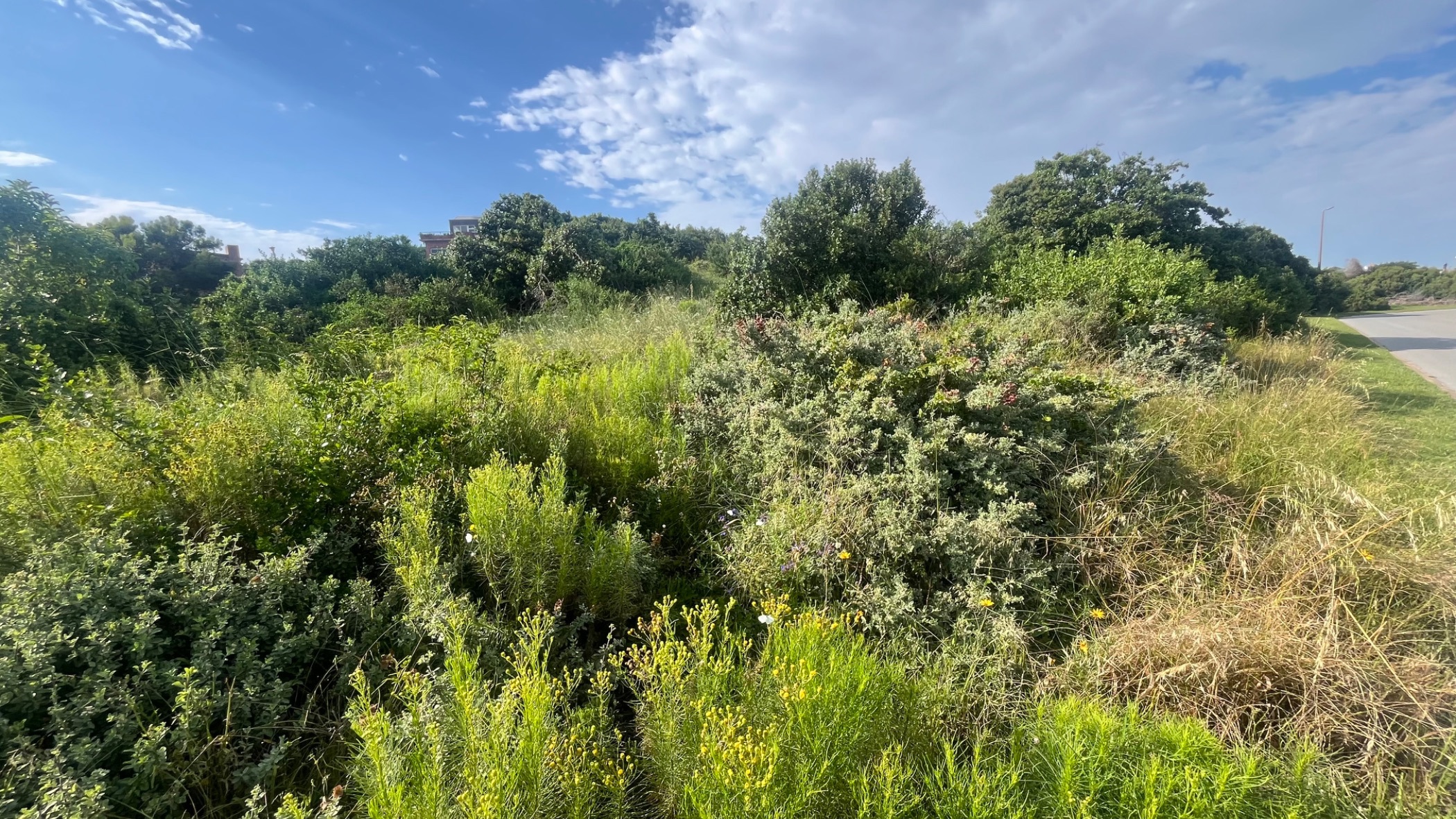 Vacant land for sale in Paradise Beach, Jeffreys Bay - 1JF1755577