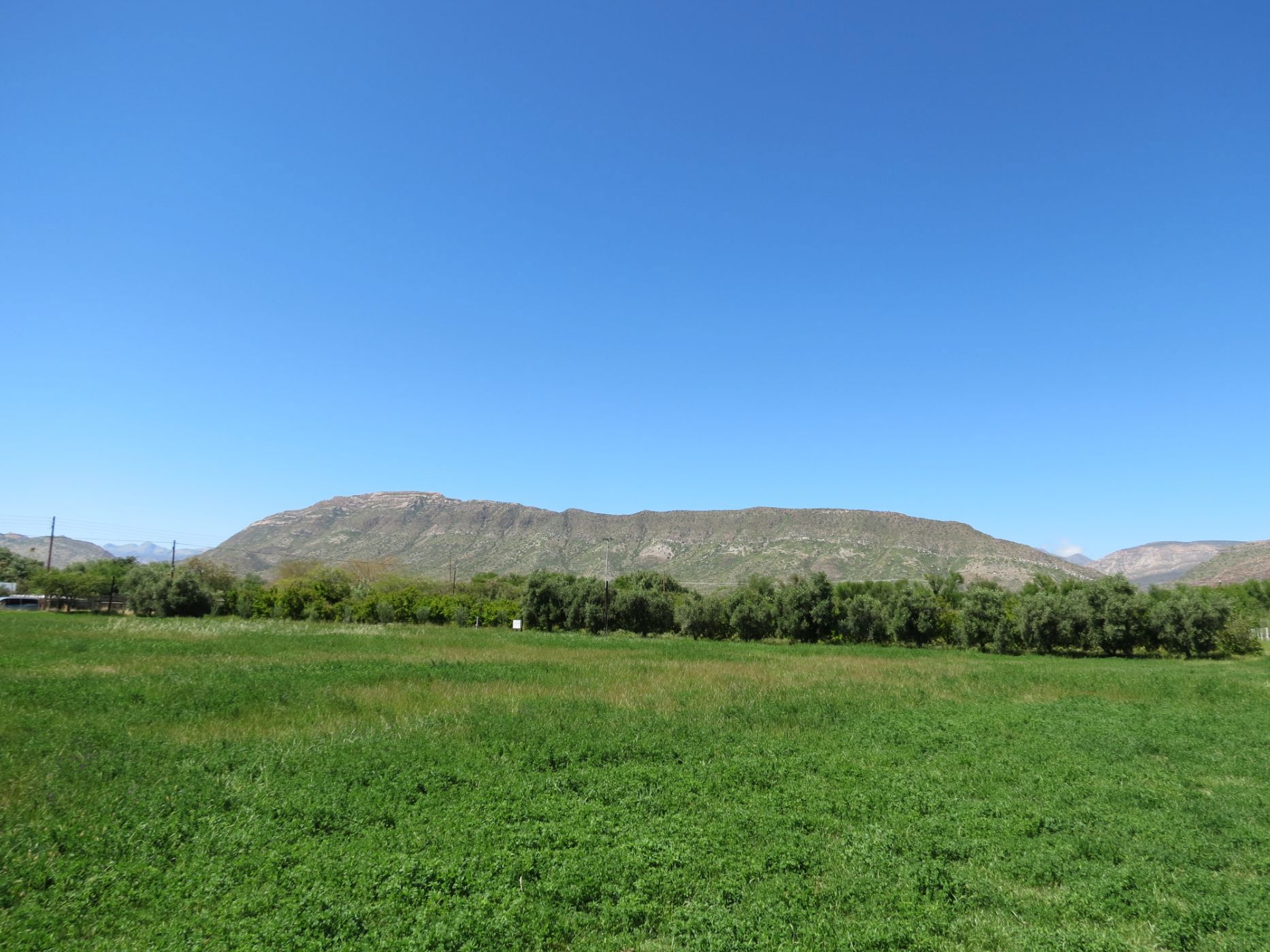 Vacant land for sale in Prince Albert - 1KK1754554