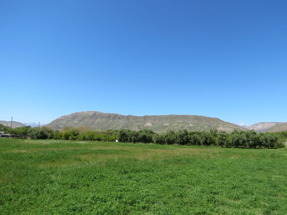 Vacant land for sale in Prince Albert - 1KK1754554