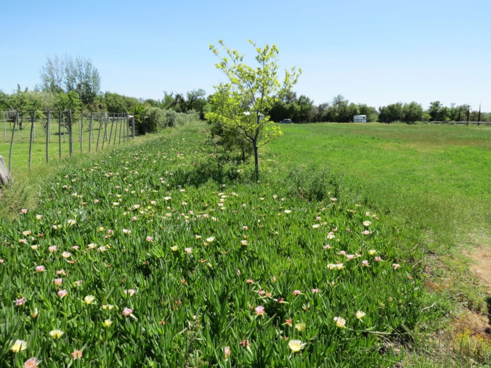 Vacant land for sale in Prince Albert - 1KK1754554