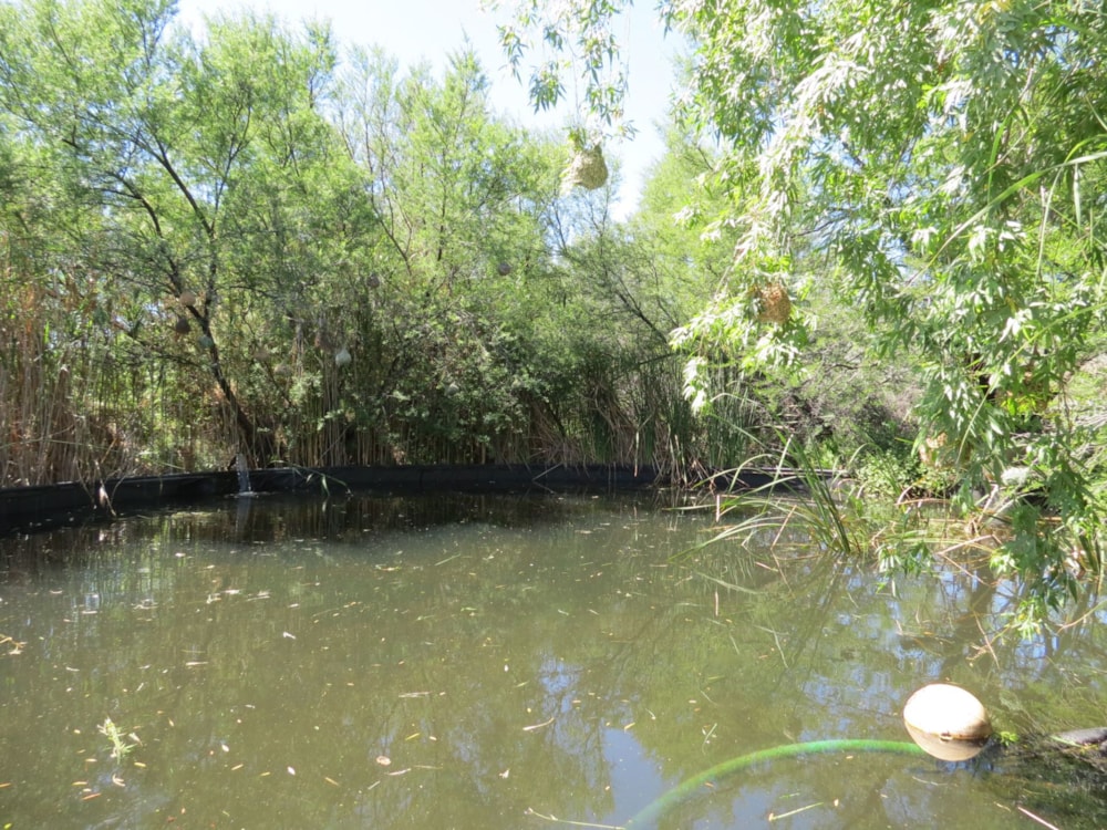 Vacant land for sale in Prince Albert - 1KK1754554