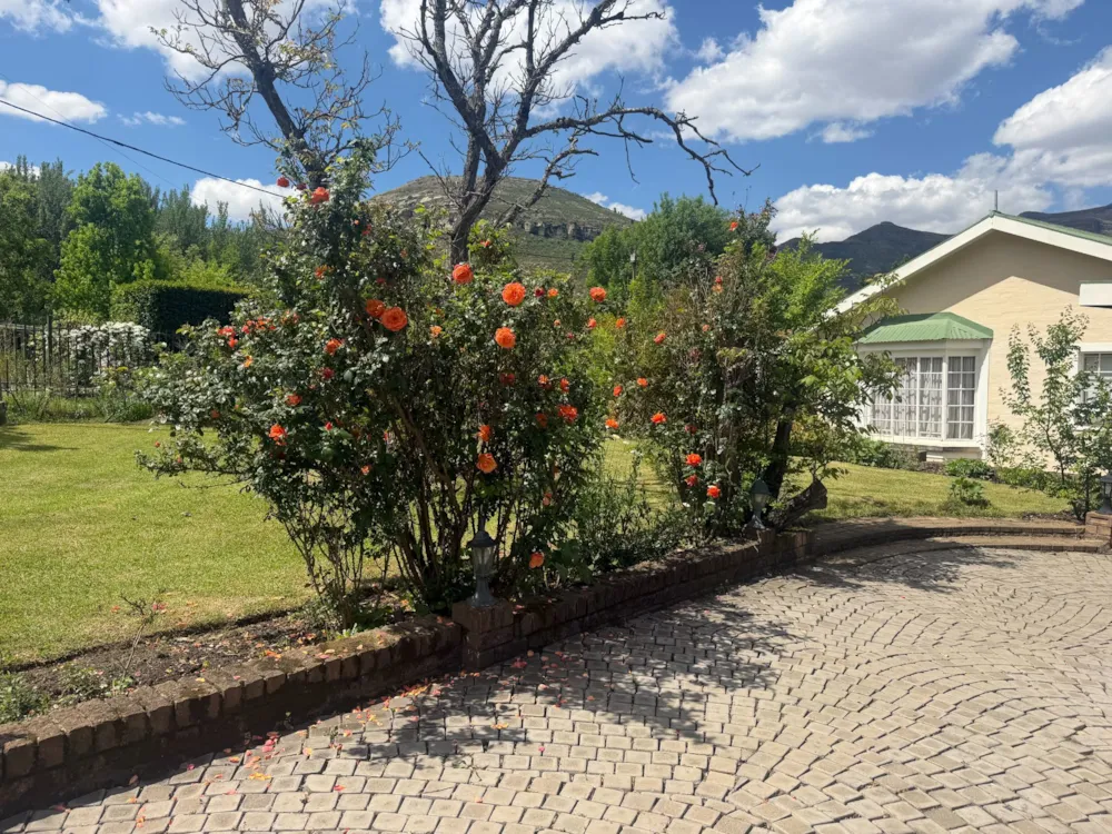 House for sale in Clarens - 1CS1756599