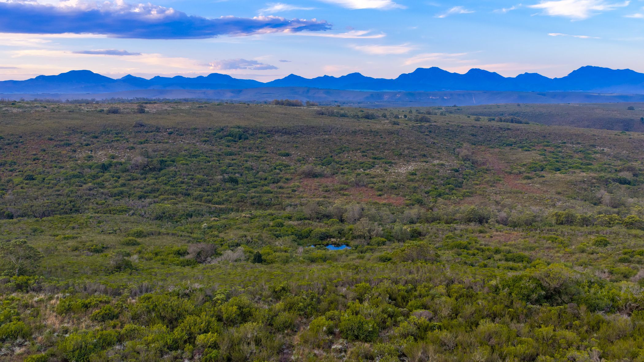 Residential vacant land for sale in Gondwana Game Reserve - 1MB1751366