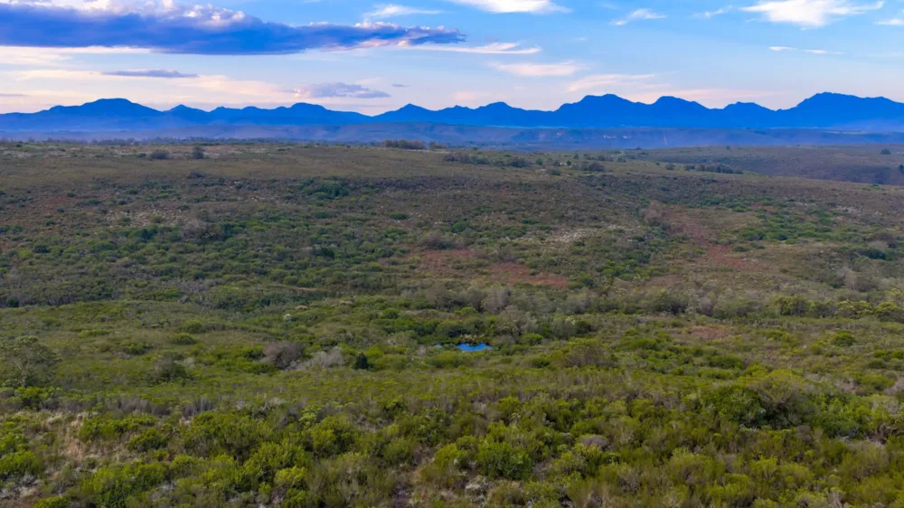 Residential vacant land for sale in Gondwana Game Reserve - 1MB1751366 Residential vacant land for sale in Gondwana Game Reserve - 1MB1751366