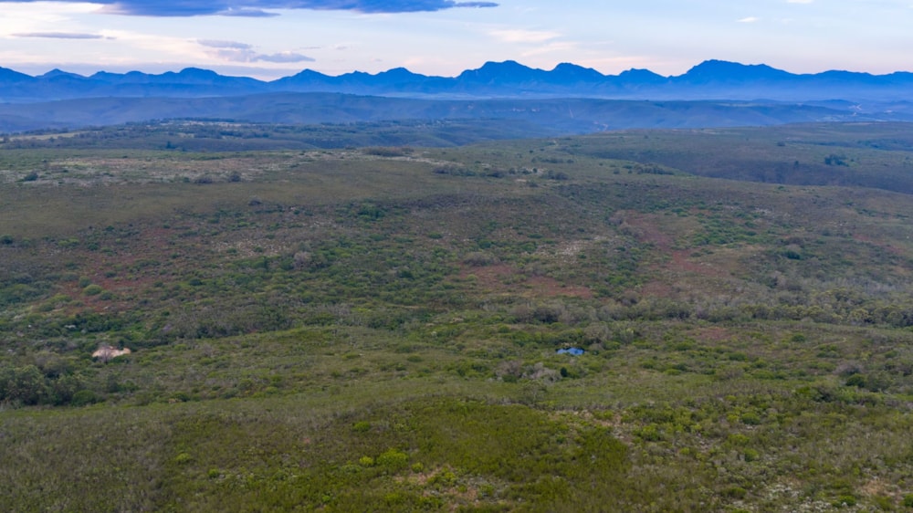 Residential vacant land for sale in Gondwana Game Reserve - 1MB1751366 Residential vacant land for sale in Gondwana Game Reserve - 1MB1751366