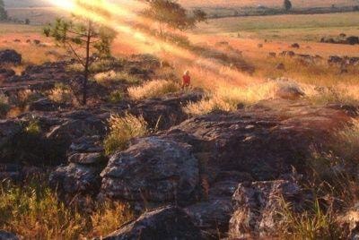 Vacant land for sale in Sabie - 1LY1694318