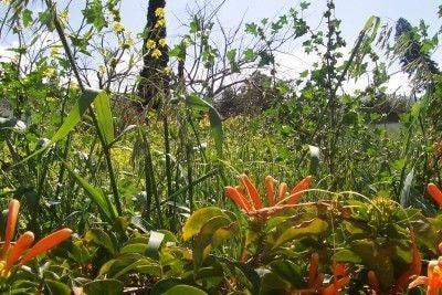 Vacant land for sale in Ashton - MG1661645