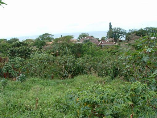 Vacant land for sale in Sea Park, Umtentweni - 1PSH1744931