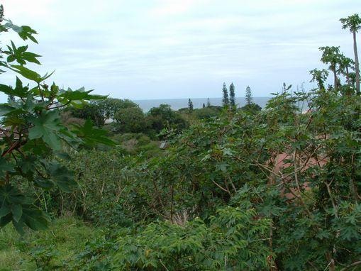 Vacant land for sale in Sea Park, Umtentweni - 1PSH1744931 Vacant land for sale in Sea Park, Umtentweni - 1PSH1744931