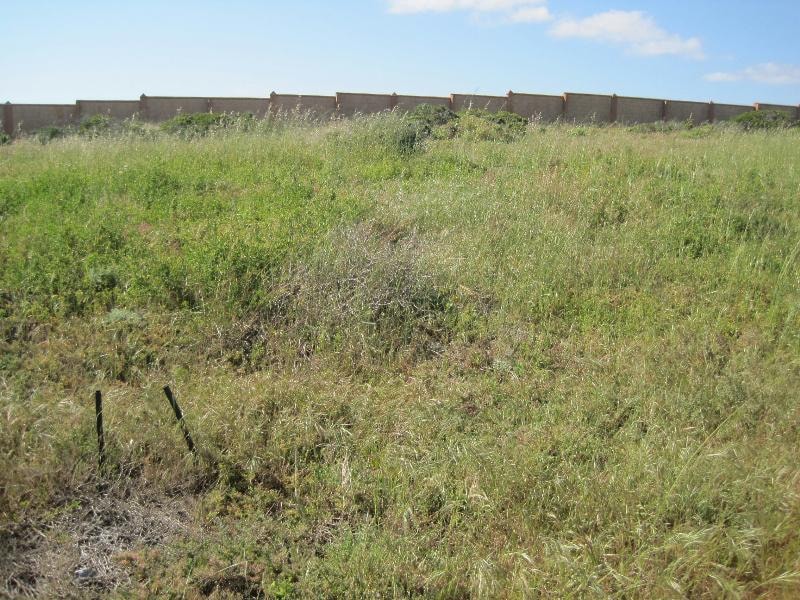 Vacant land for sale in Saldanha Bay - LA1678284