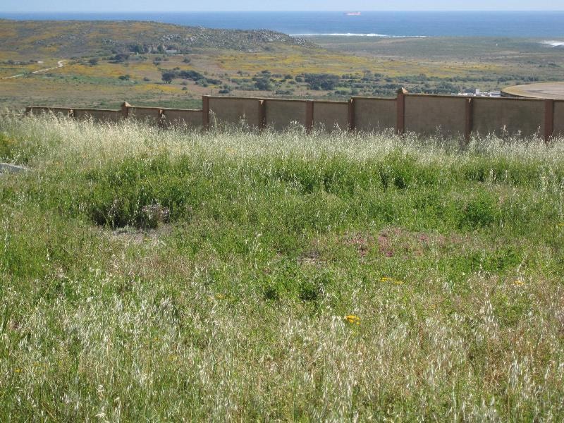 Vacant land for sale in Saldanha Bay - LA1678284