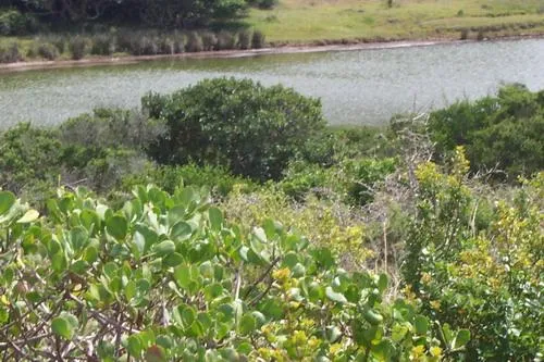 Vacant land for sale in Boknesstrand - 1KO1670286