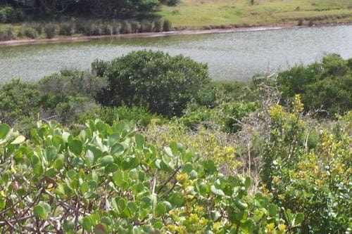 Vacant land for sale in Boknesstrand - 1KO1670286