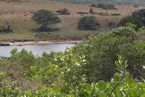 Vacant land for sale in Boknesstrand - 1KO1670286 Vacant land for sale in Boknesstrand - 1KO1670286