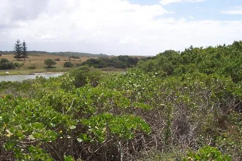 Vacant land for sale in Boknesstrand - 1KO1670286