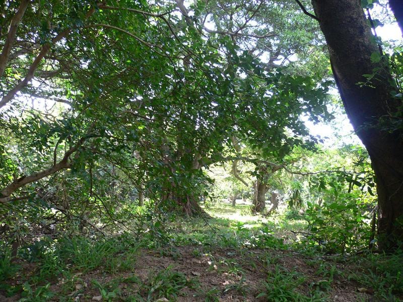 Vacant land for sale in Pennington - 1SI1736917