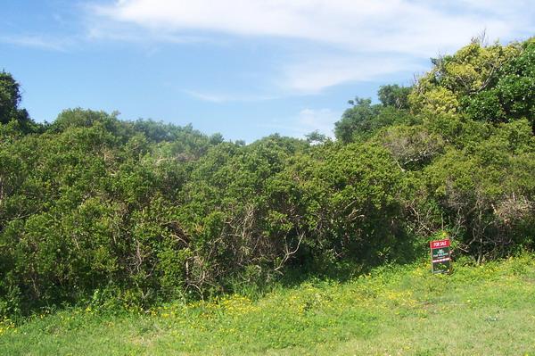 Vacant land for sale in Boknesstrand - 1KO1727037