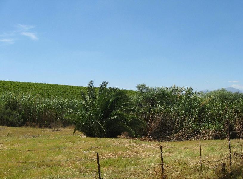 Vacant land for sale in Riebeek Kasteel - RV1732466