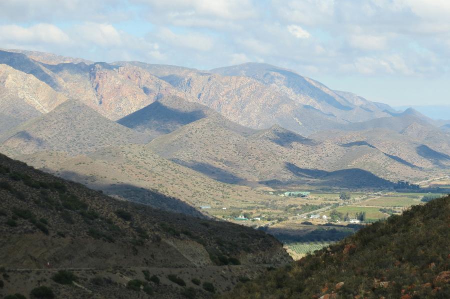 Olive farm for sale in Prince Albert Rural - 1KK1700300