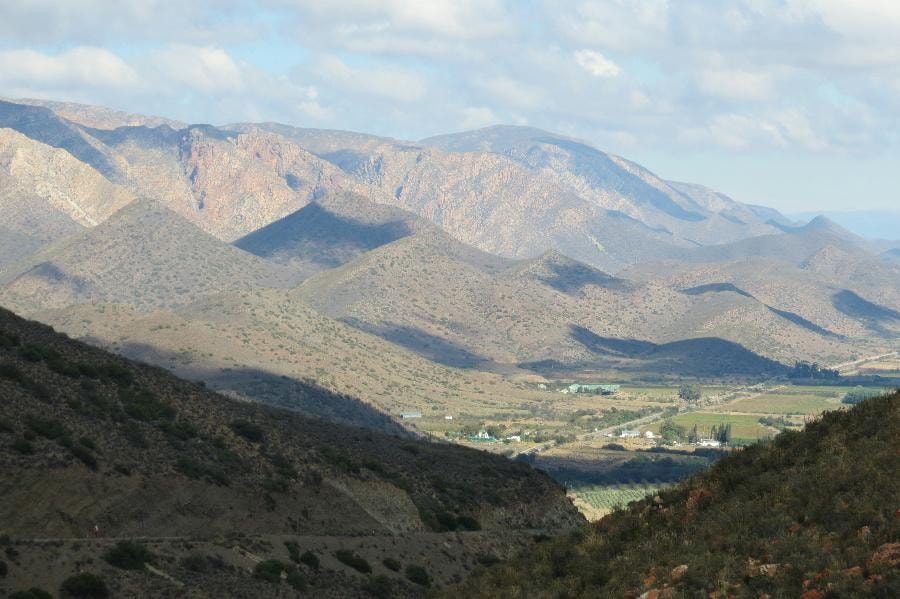 Olive farm for sale in Prince Albert Rural - 1KK1700300 Olive farm for sale in Prince Albert Rural - 1KK1700300