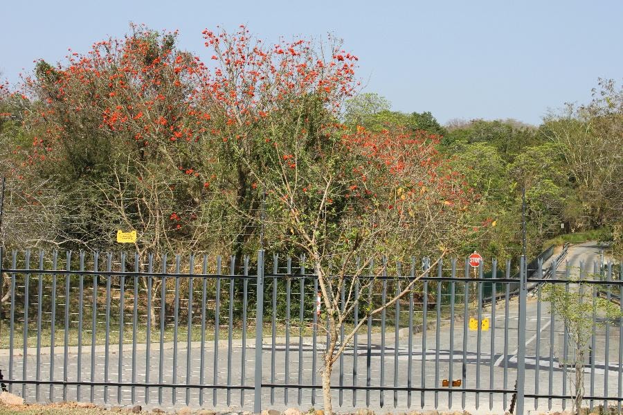 Security complex home for sale in Riverside Park - 1NS1707067 Security complex home for sale in Riverside Park - 1NS1707067