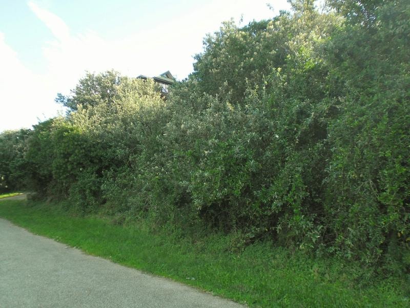 Vacant land for sale in Cannon Rocks - 1KO1726932