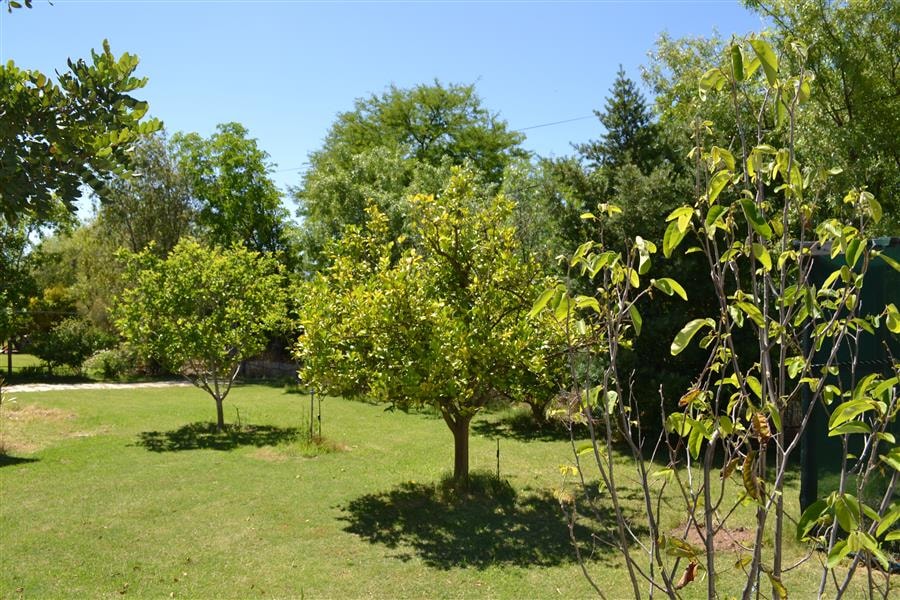 House let in Riebeek Kasteel - RVL1752613 House let in Riebeek Kasteel - RVL1752613