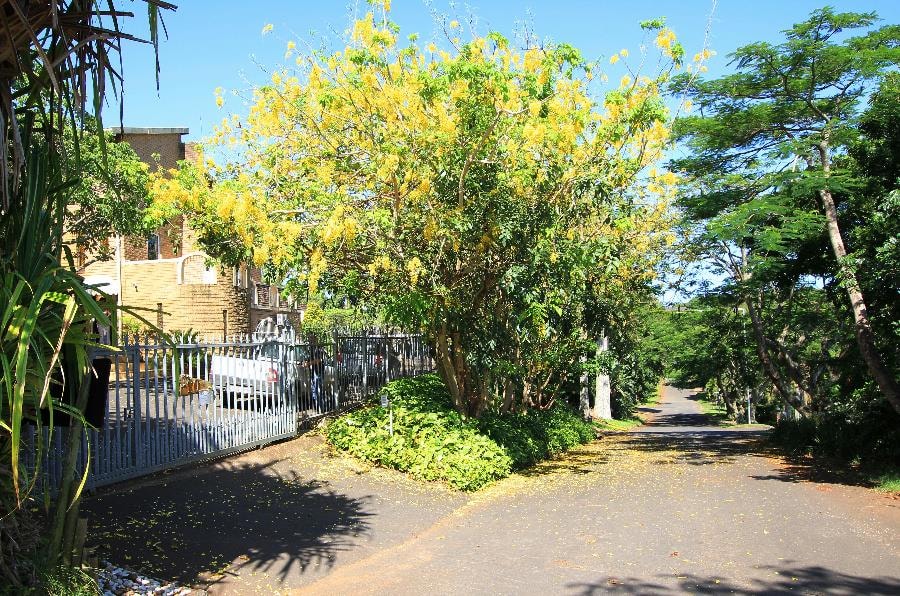 Double-storey house for sale in Empangeni - 1RY1693969