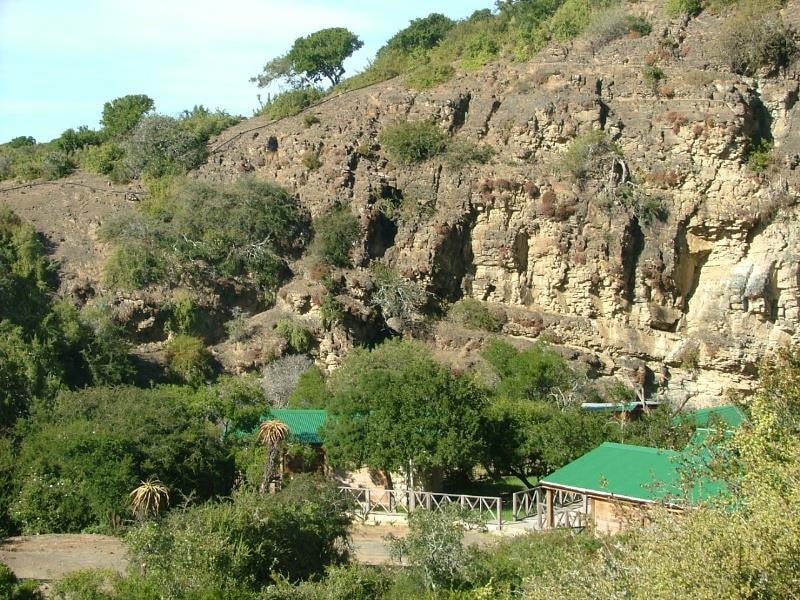 Game farm for sale in Grahamstown (Makhanda) - 1GC1717494 Game farm for sale in Grahamstown (Makhanda) - 1GC1717494