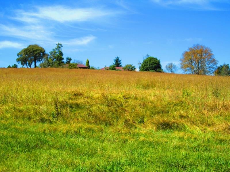 Vacant land for sale in Dullstroom - 1DS1723855 Vacant land for sale in Dullstroom - 1DS1723855