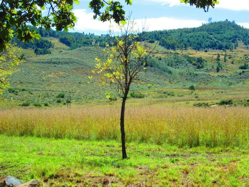 Vacant land for sale in Dullstroom - 1DS1723855 Vacant land for sale in Dullstroom - 1DS1723855