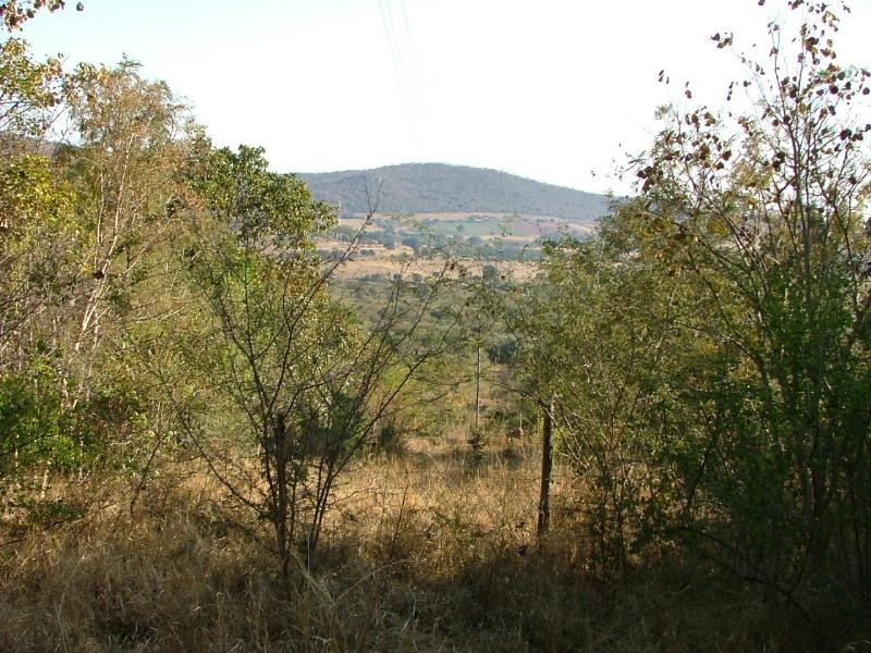 Mixed use farm for sale in Modjadjiskloof - 1TA1750979 Mixed use farm for sale in Modjadjiskloof - 1TA1750979