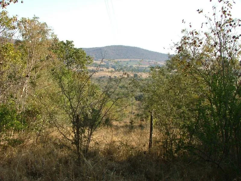 Mixed use farm for sale in Modjadjiskloof - 1TA1750979 Mixed use farm for sale in Modjadjiskloof - 1TA1750979