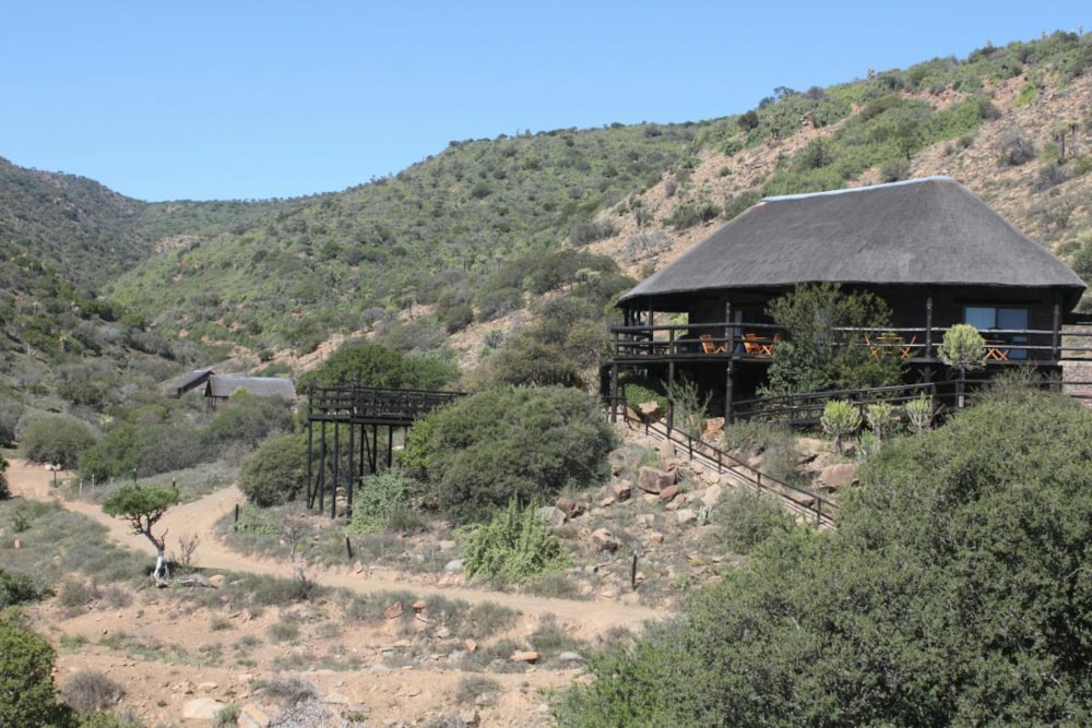 Game lodge sold in Jansenville - 1KK1738222