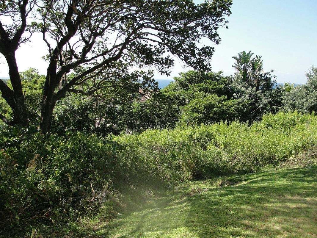 Residential vacant land for sale in Shelly Beach - 1PSH1737884