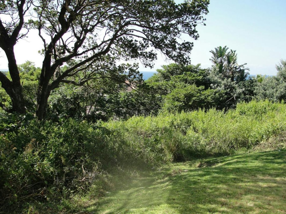 Residential vacant land for sale in Shelly Beach - 1PSH1737884