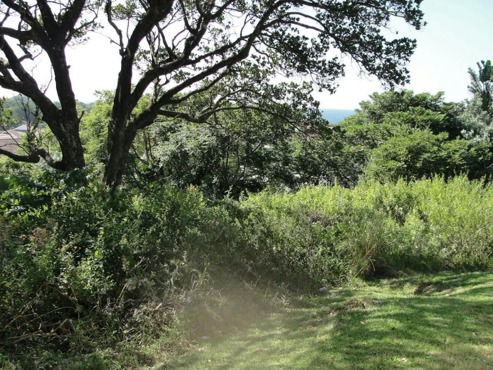 Residential vacant land for sale in Shelly Beach - 1PSH1737884