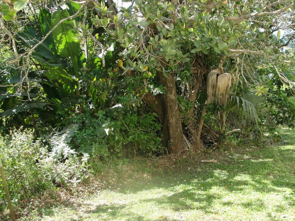 Residential vacant land for sale in Shelly Beach - 1PSH1737884