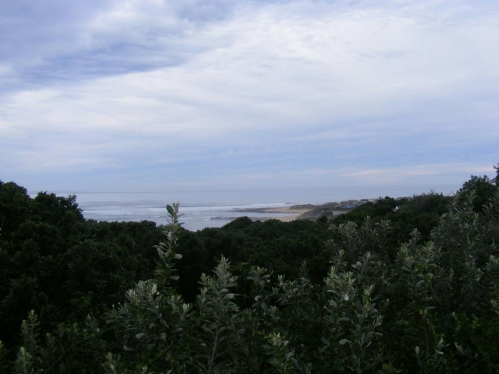 Vacant land for sale in Port Alfred - 1PF1646809 Vacant land for sale in Port Alfred - 1PF1646809