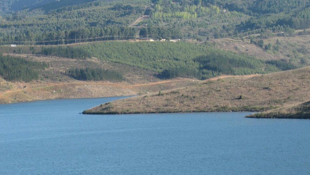 Residential vacant land for sale in Haenertsburg - 1TA1650194 Residential vacant land for sale in Haenertsburg - 1TA1650194