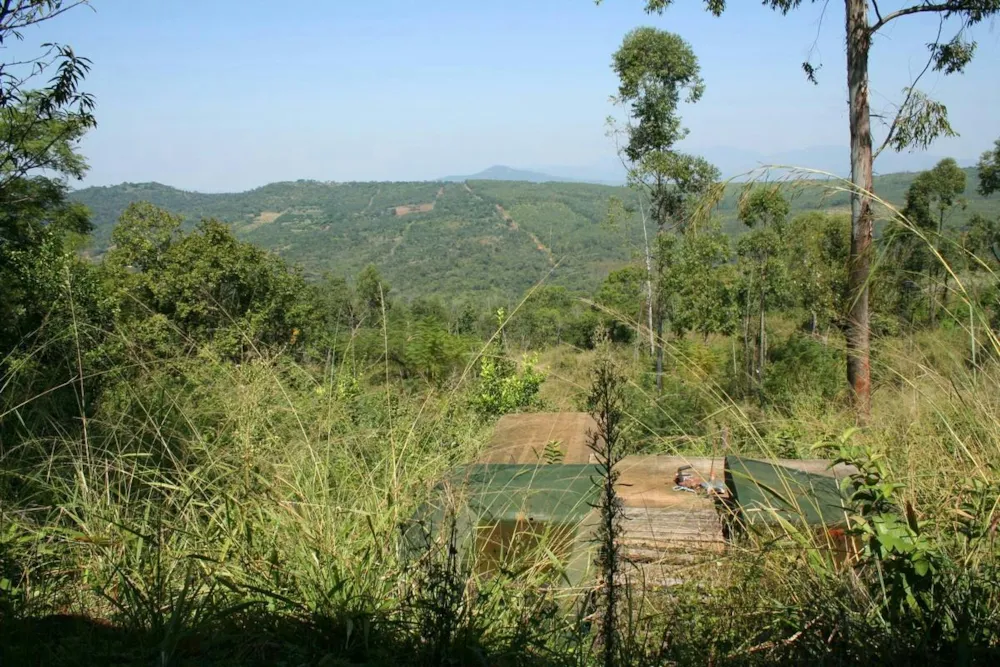 Smallholding for sale in Tzaneen, Limpopo Province - 1TA1691231
