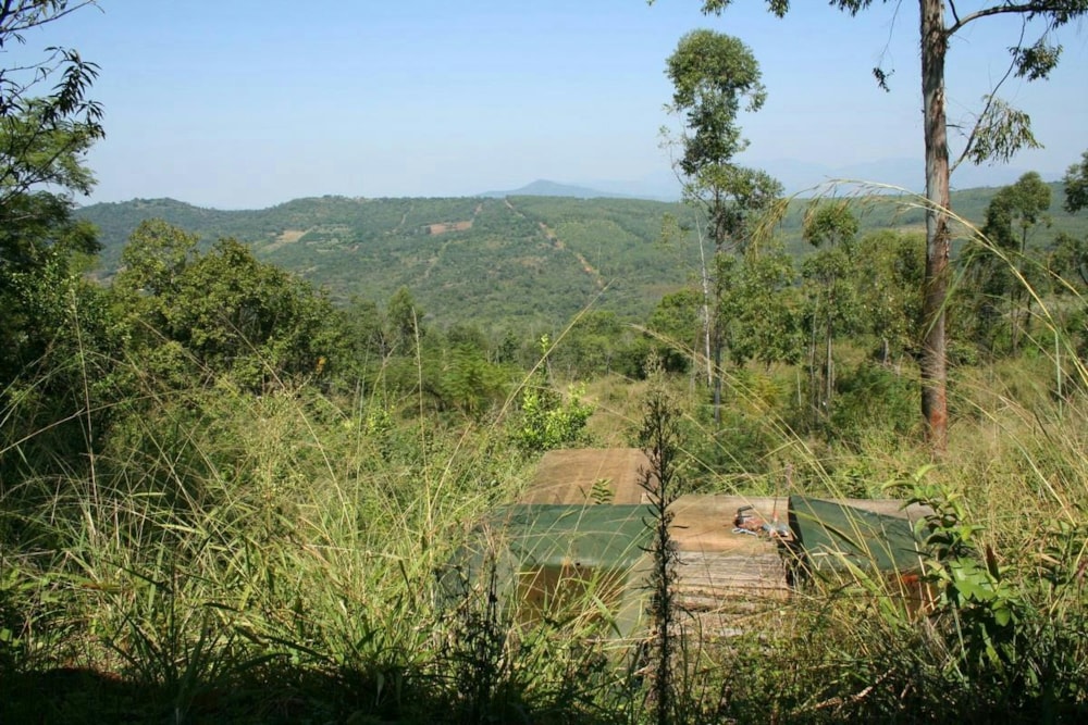 Smallholding for sale in Tzaneen, Limpopo Province - 1TA1691231 Smallholding for sale in Tzaneen, Limpopo Province - 1TA1691231