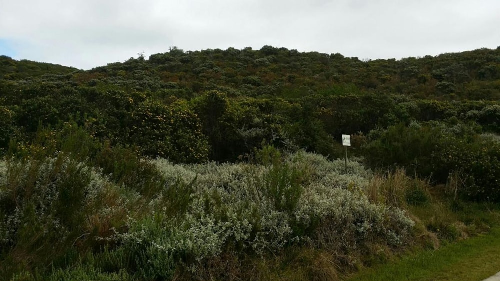 Residential vacant land for sale in Pezula Private Estate - 1KG1744378
