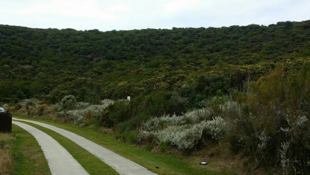 Residential vacant land for sale in Pezula Private Estate - 1KG1744378