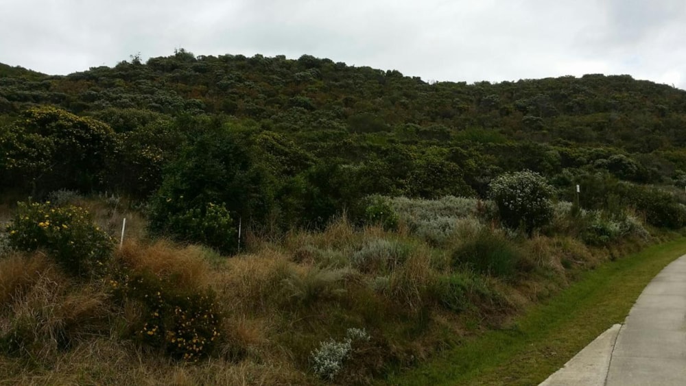 Residential vacant land for sale in Pezula Private Estate - 1KG1744378