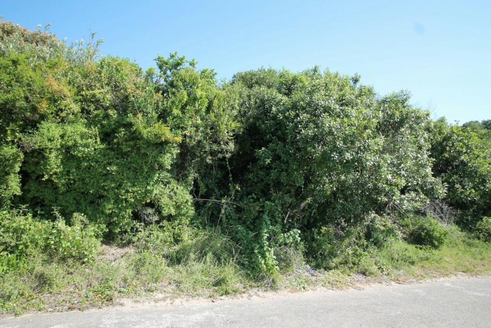 Vacant land for sale in West Bank, Port Alfred - 1PF1742688 Vacant land for sale in West Bank, Port Alfred - 1PF1742688